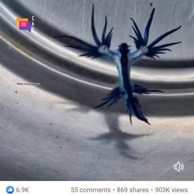 Vishnu Nair
